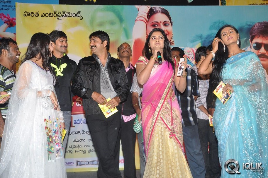 Malligadu-Marriage-Bureau-Audio-Release